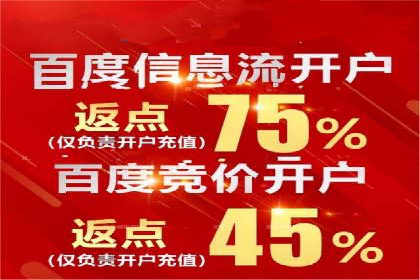 某公司SEM推广的失败教训与成功经验